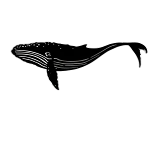 A laser-cut steel silhouette of a humpback whale, painted black, featuring detailed cuts to accentuate the whale's body and fins. The design includes a sturdy bracket for wall mounting and showcases the whale's iconic shape and form, with intricate details along the body and tail. Displayed on a white background.